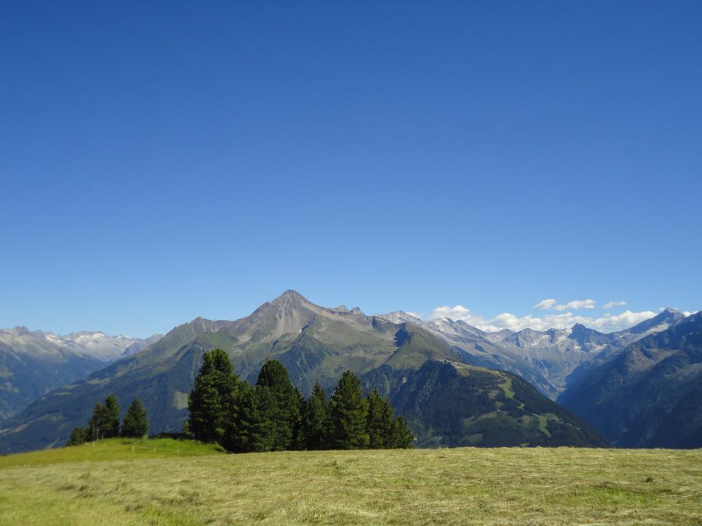 Apart Huamatl Ramsau im Zillertal Oda fotoğraf